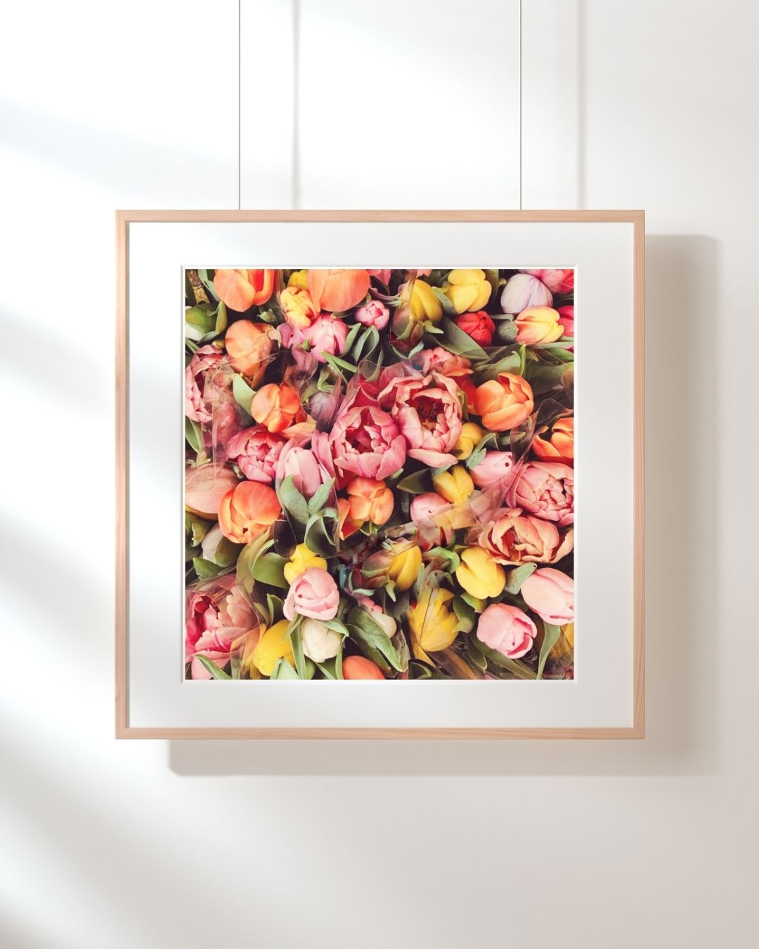 Vintage Tulips