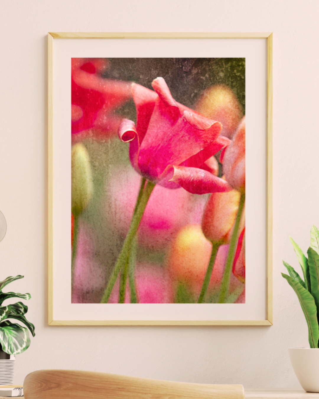 Bloom Where You Belong
