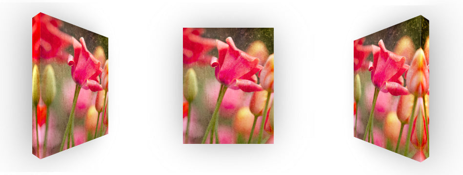 Bloom Where You Belong