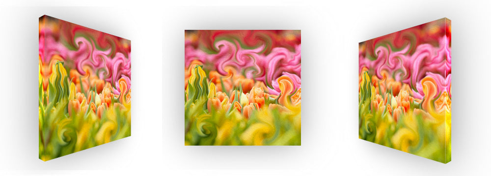 Tulip Day Swirls