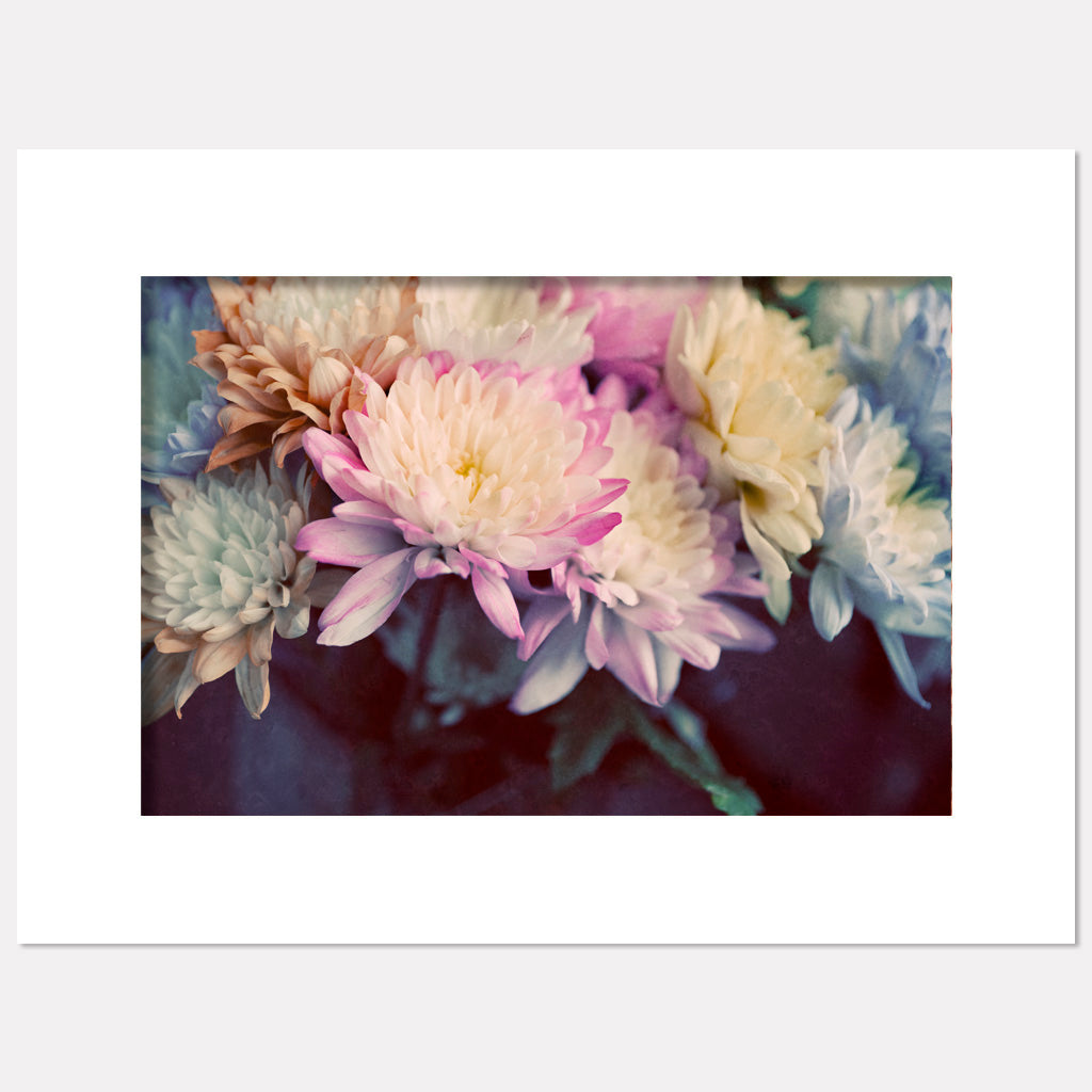 Vintage Spring