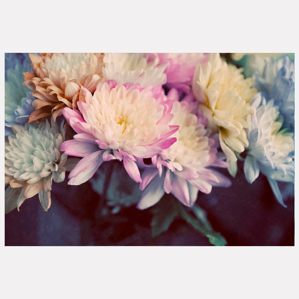 Vintage Spring