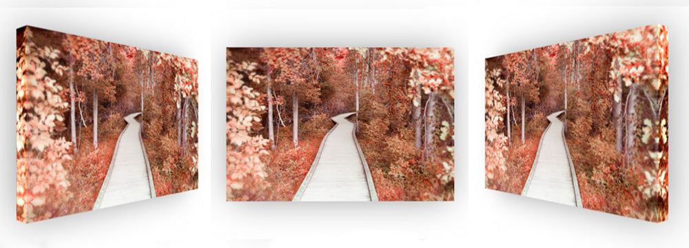 Path Of Dreams