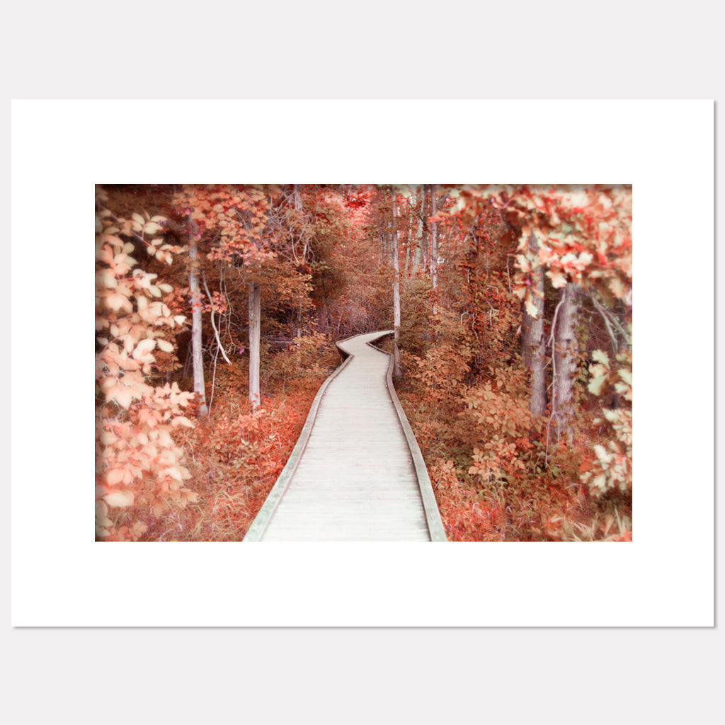 Path Of Dreams