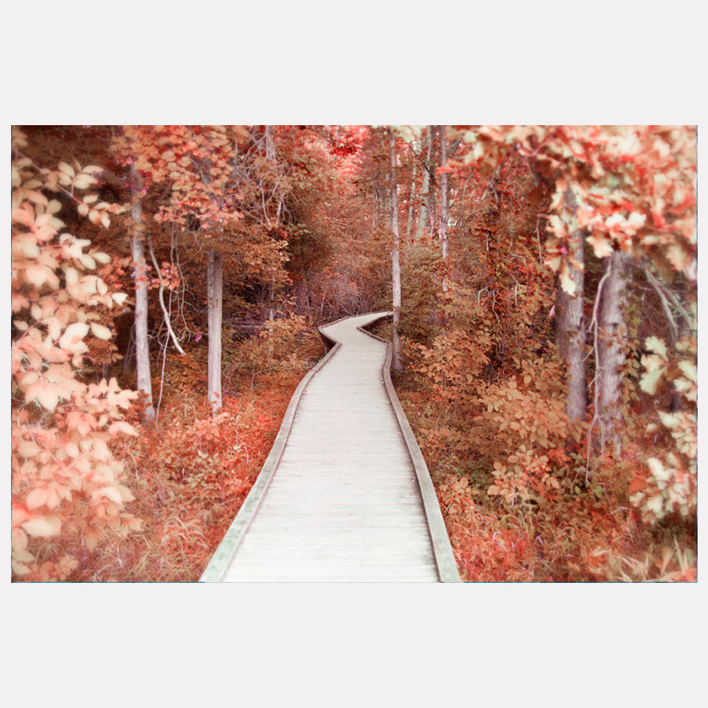 Path Of Dreams