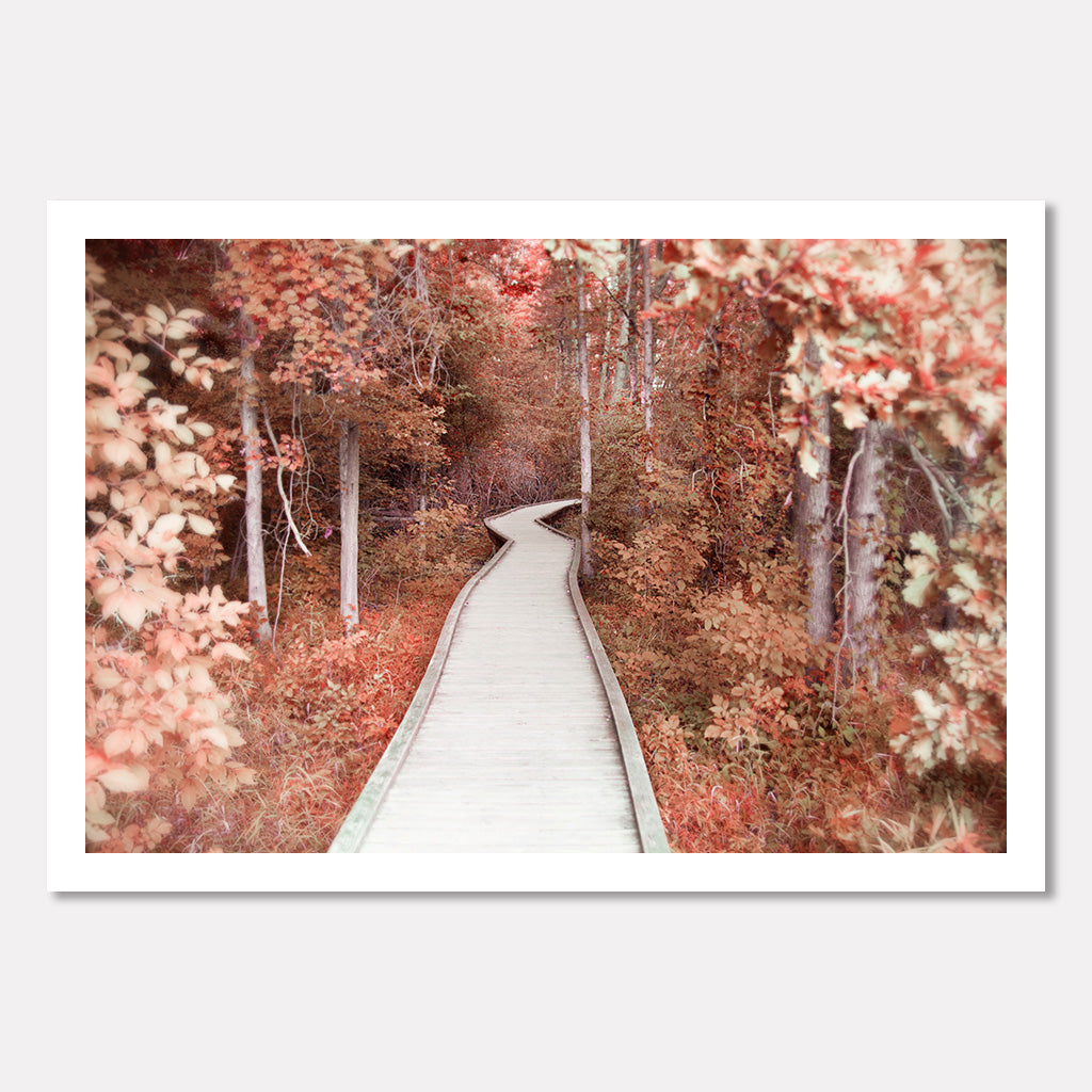 Path Of Dreams