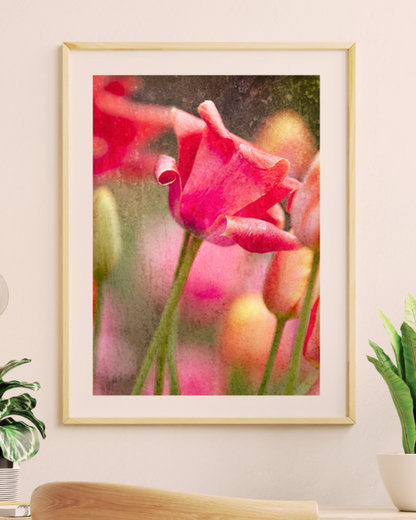 Bloom Where You Belong