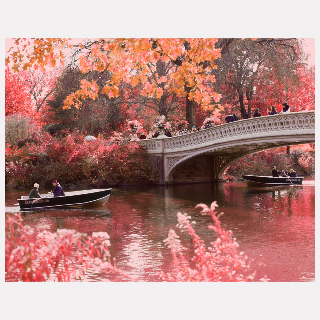 Central Park - NYC - Bow Bridge