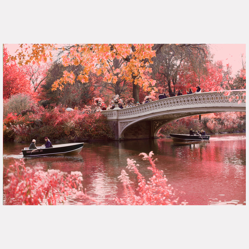 Central Park - NYC - Bow Bridge