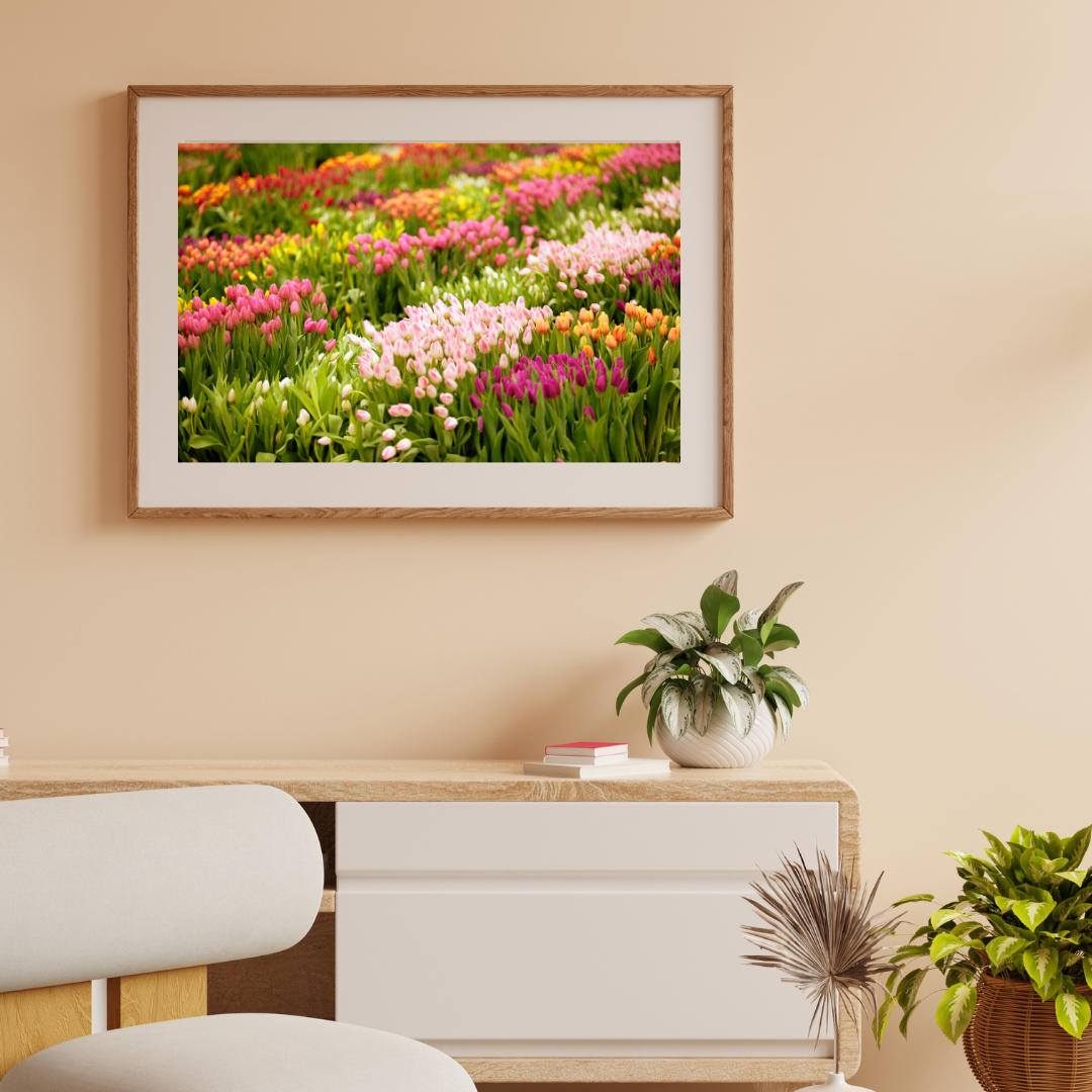 Tulip Takeover, Union Square