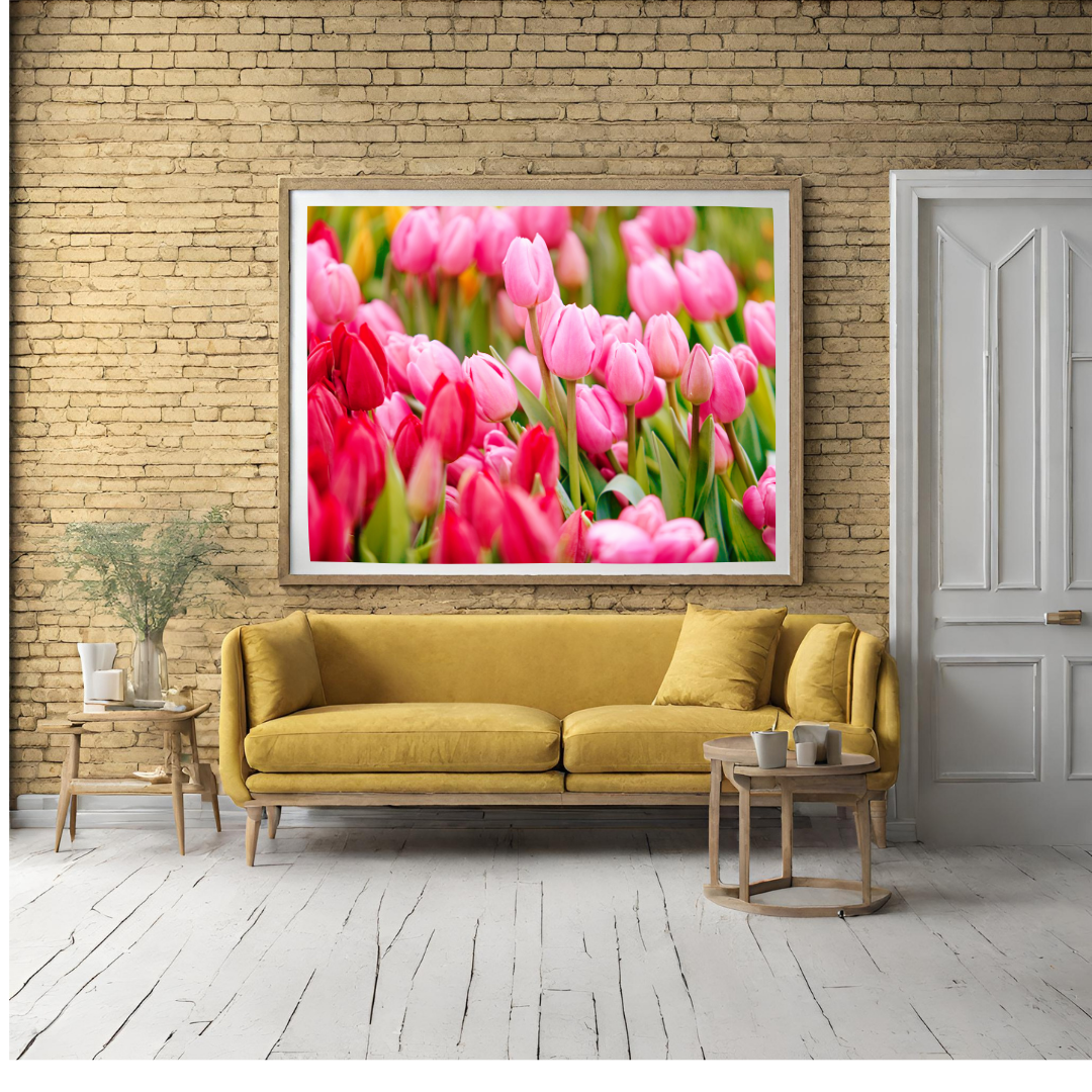 Pretty In Pink - Urban Tulips