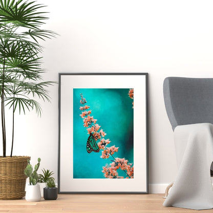 Transformation - Butterfly