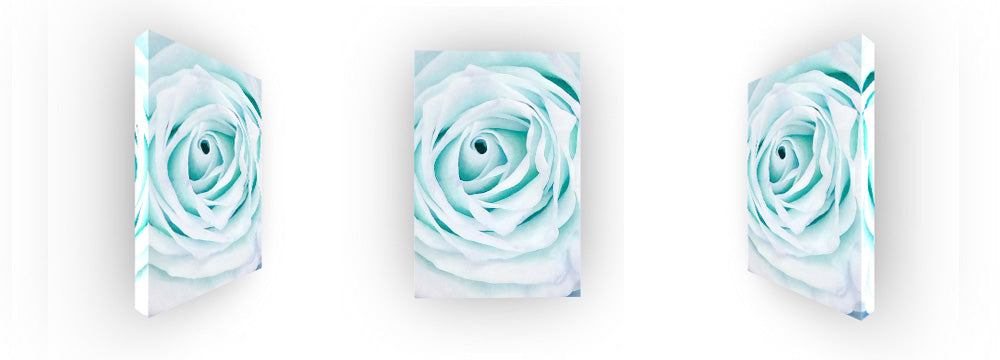 Blue Water Rose