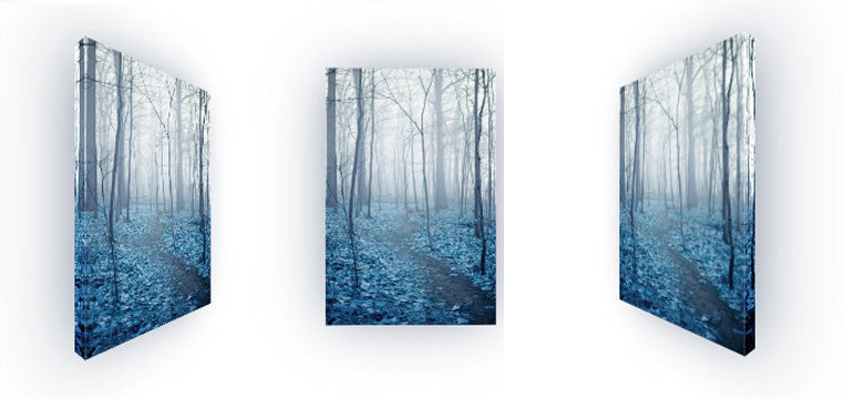 Foggy Blue Forest