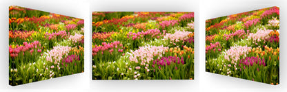 Tulip Takeover, Union Square