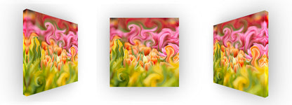 Tulip Day Swirls
