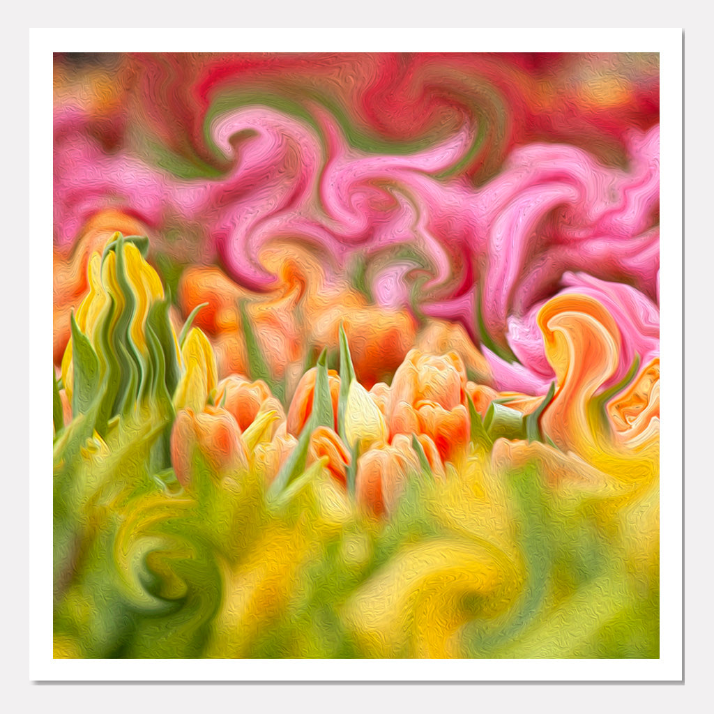 Tulip Day Swirls