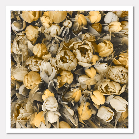 Tulip Bouquets - Golden Neutrals