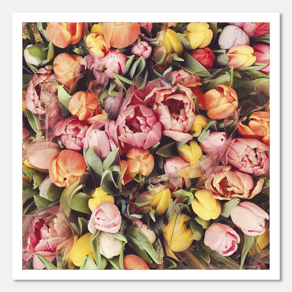 Vintage Tulips