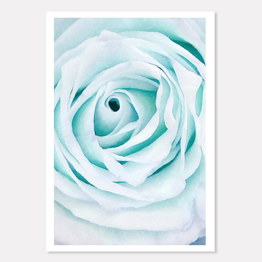 Blue Water Rose