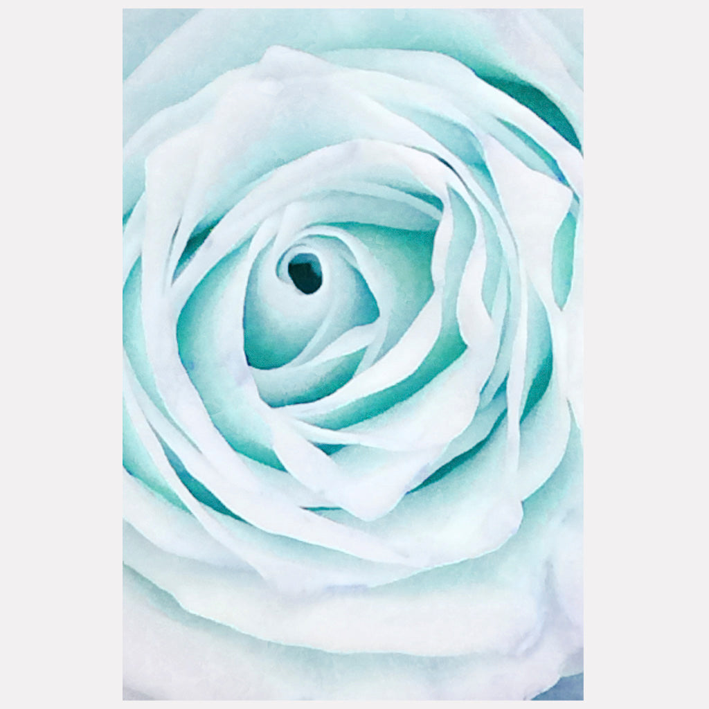 Blue Water Rose