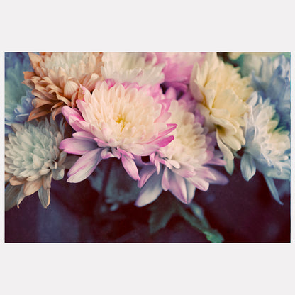Vintage Spring