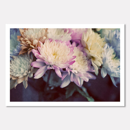 Vintage Spring
